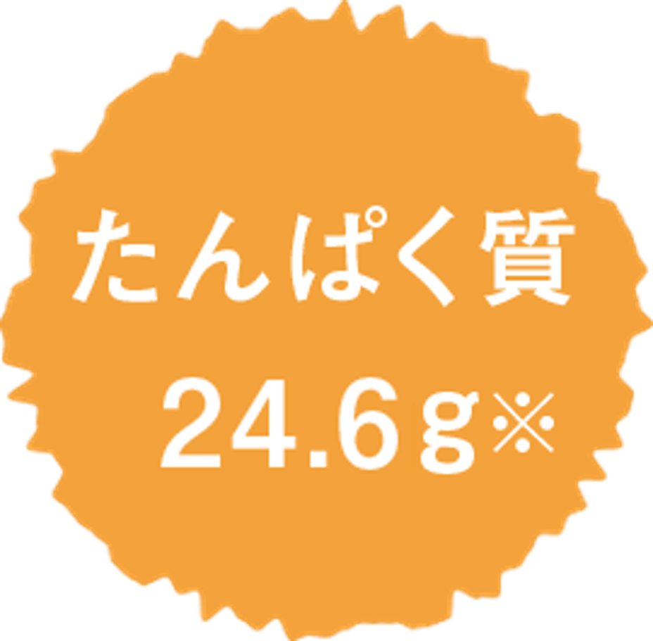 たんぱく質 24.6g